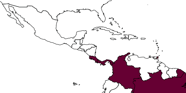 map of Dryinus caraibicus     Olmi, 1984